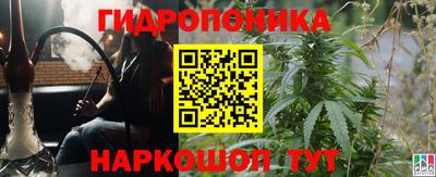 ПСИЛОЦИБИНОВЫЕ ГРИБЫ Тверь