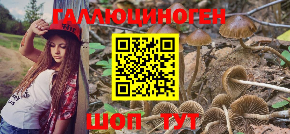 Галлюциногенные грибы ЛСД  Вход с VPN  Тольятти 