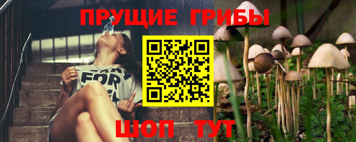 Галлюциногенные грибы MAGIC MUSHROOMS Тольятти